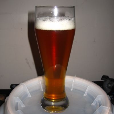 A glass of Summer Ale